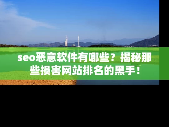 seo恶意软件有哪些？揭秘那些损害网站排名的黑手！
