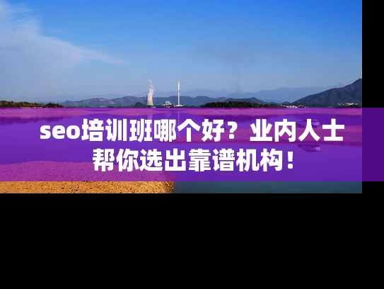 seo培训班哪个好？业内人士帮你选出靠谱机构！