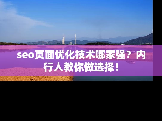 seo页面优化技术哪家强？内行人教你做选择！