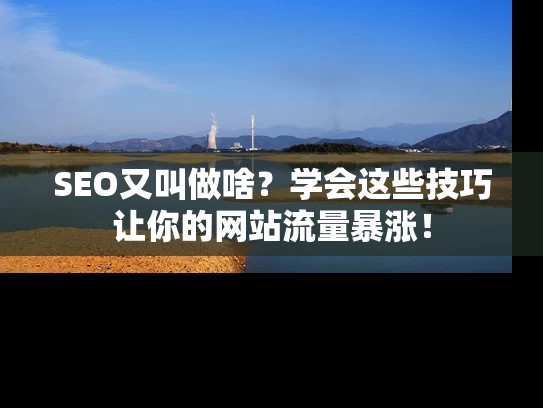 SEO又叫做啥？学会这些技巧让你的网站流量暴涨！