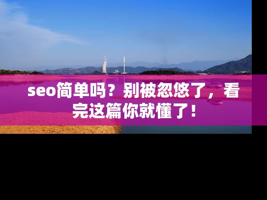 seo简单吗？别被忽悠了，看完这篇你就懂了！