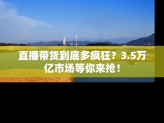 直播带货到底多疯狂？3.5万亿市场等你来抢！