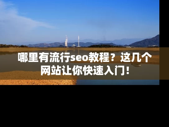哪里有流行seo教程？这几个网站让你快速入门！