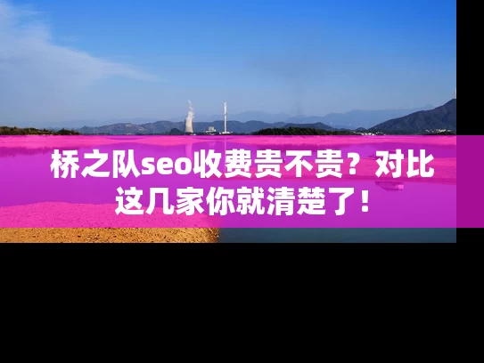 桥之队seo收费贵不贵？对比这几家你就清楚了！