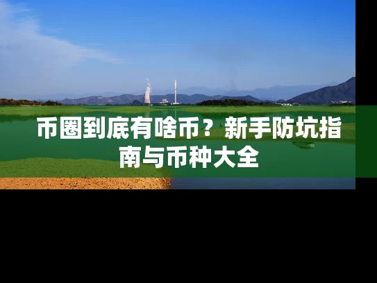 币圈到底有啥币？新手防坑指南与币种大全