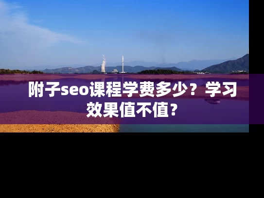 附子seo课程学费多少？学习效果值不值？