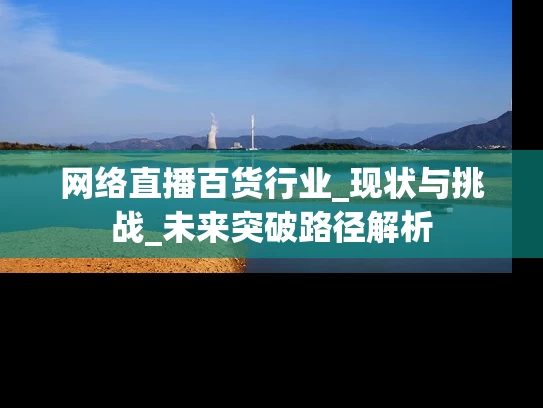 网络直播百货行业_现状与挑战_未来突破路径解析