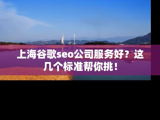 上海谷歌seo公司服务好？这几个标准帮你挑！