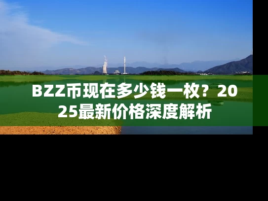 BZZ币现在多少钱一枚？2025最新价格深度解析