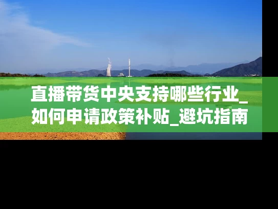 直播带货中央支持哪些行业_如何申请政策补贴_避坑指南全解析