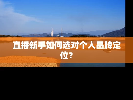直播新手如何选对个人品牌定位？