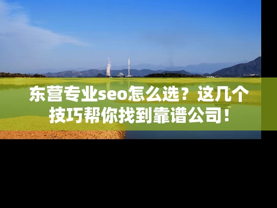 东营专业seo怎么选？这几个技巧帮你找到靠谱公司！