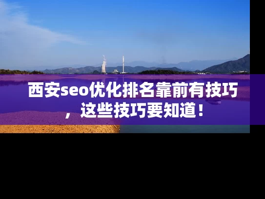 西安seo优化排名靠前有技巧，这些技巧要知道！