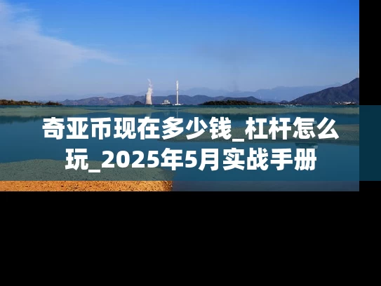 奇亚币现在多少钱_杠杆怎么玩_2025年5月实战手册