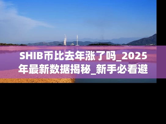 SHIB币比去年涨了吗_2025年最新数据揭秘_新手必看避坑指南