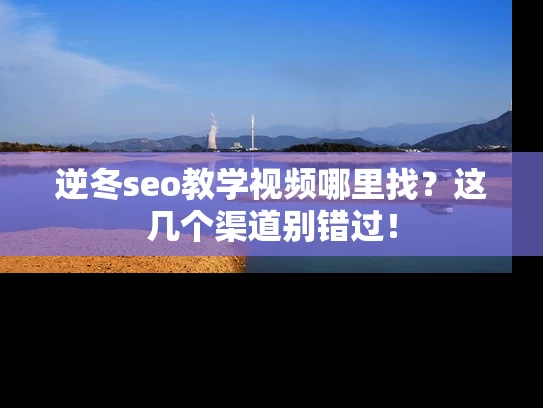 逆冬seo教学视频哪里找？这几个渠道别错过！