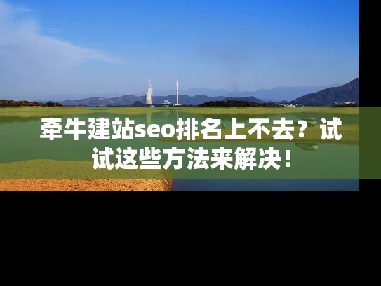 牵牛建站seo排名上不去？试试这些方法来解决！