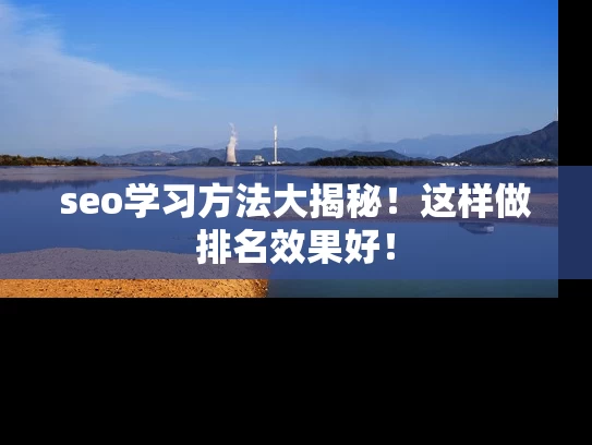 seo学习方法大揭秘！这样做排名效果好！