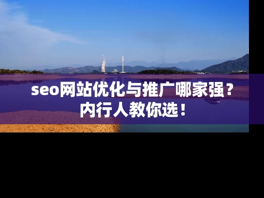 seo网站优化与推广哪家强？内行人教你选！