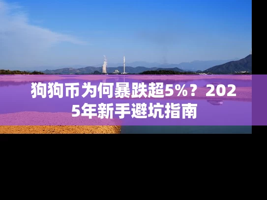 狗狗币为何暴跌超5%？2025年新手避坑指南