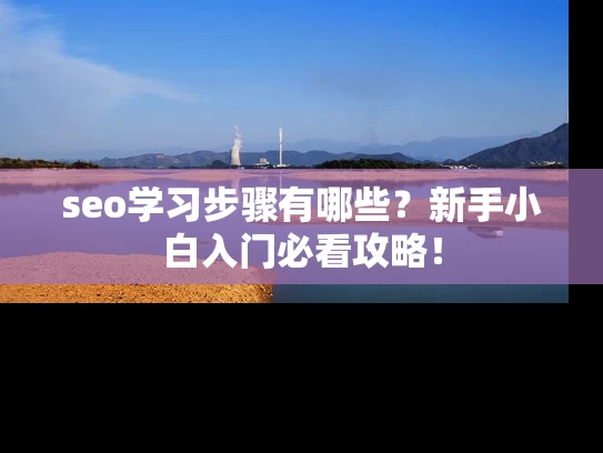 seo学习步骤有哪些？新手小白入门必看攻略！