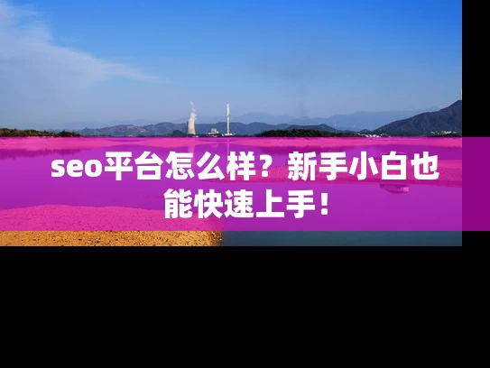 seo平台怎么样？新手小白也能快速上手！