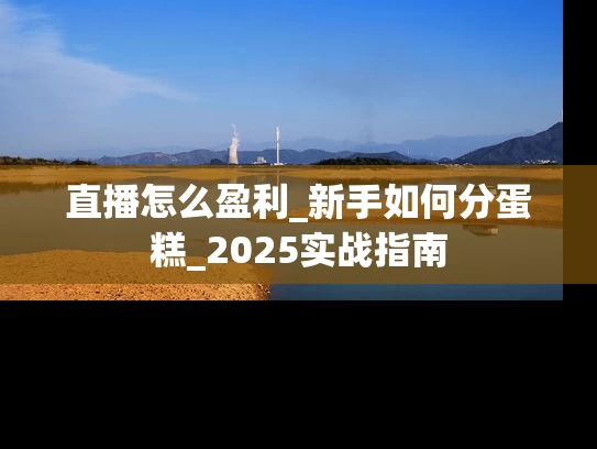 直播怎么盈利_新手如何分蛋糕_2025实战指南