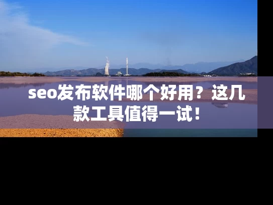 seo发布软件哪个好用？这几款工具值得一试！