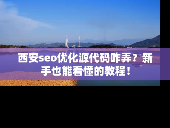 西安seo优化源代码咋弄？新手也能看懂的教程！