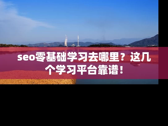 seo零基础学习去哪里？这几个学习平台靠谱！