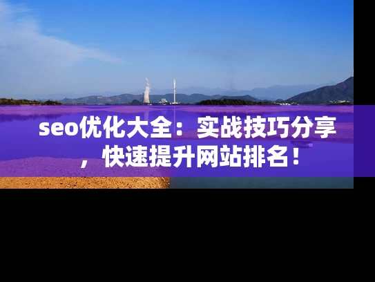 seo优化大全：实战技巧分享，快速提升网站排名！