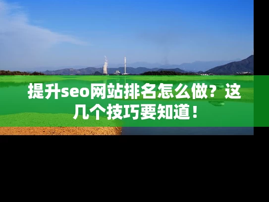 提升seo网站排名怎么做？这几个技巧要知道！