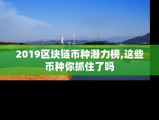 2019区块链币种潜力榜,这些币种你抓住了吗