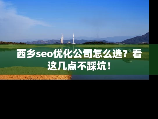 西乡seo优化公司怎么选？看这几点不踩坑！