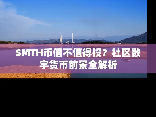 SMTH币值不值得投？社区数字货币前景全解析