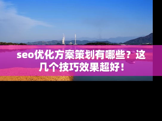 seo优化方案策划有哪些？这几个技巧效果超好！