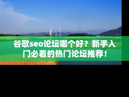 谷歌seo论坛哪个好？新手入门必看的热门论坛推荐！