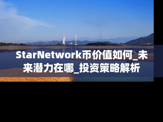 StarNetwork币价值如何_未来潜力在哪_投资策略解析