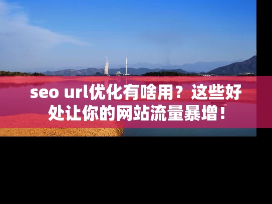 seo url优化有啥用？这些好处让你的网站流量暴增！