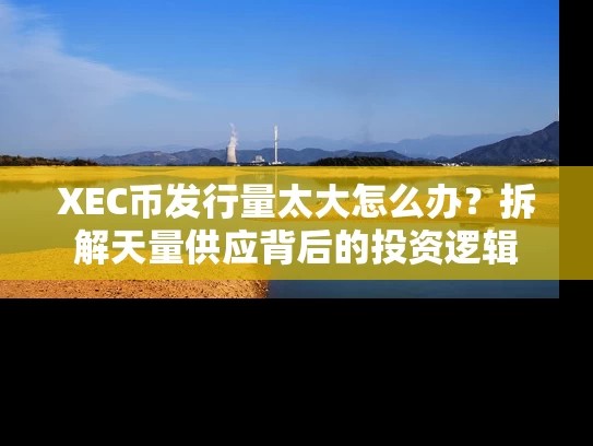XEC币发行量太大怎么办？拆解天量供应背后的投资逻辑