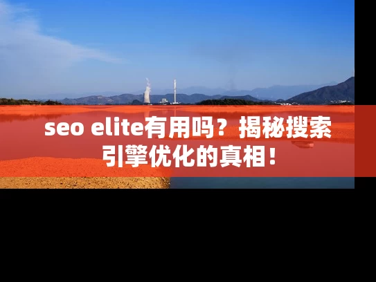 seo elite有用吗？揭秘搜索引擎优化的真相！