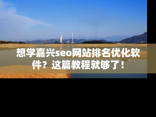 想学嘉兴seo网站排名优化软件？这篇教程就够了！