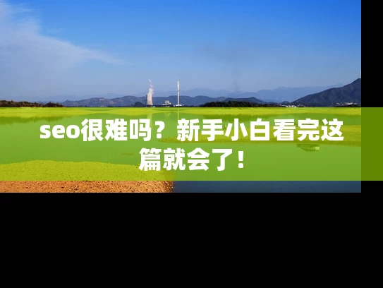 seo很难吗？新手小白看完这篇就会了！