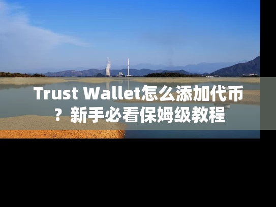 Trust Wallet怎么添加代币？新手必看保姆级教程