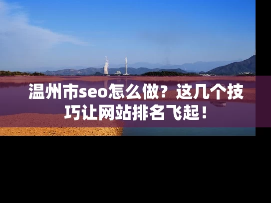 温州市seo怎么做？这几个技巧让网站排名飞起！