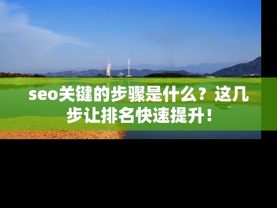 seo关键的步骤是什么？这几步让排名快速提升！