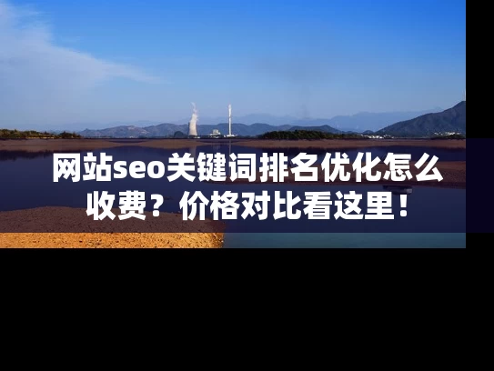 网站seo关键词排名优化怎么收费？价格对比看这里！