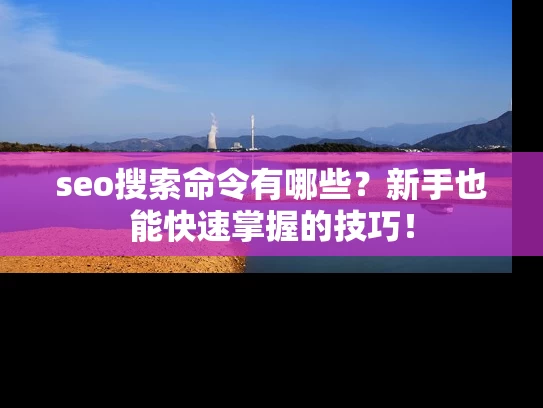 seo搜索命令有哪些？新手也能快速掌握的技巧！