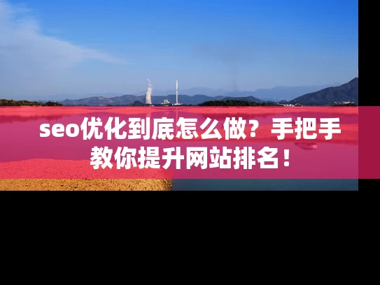 seo优化到底怎么做？手把手教你提升网站排名！