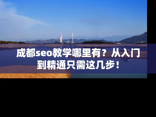 成都seo教学哪里有？从入门到精通只需这几步！